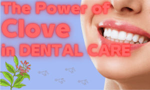 Clove Oil Mouth Rinse Relief for Toothaches 9 a bright and healthy smile, and fresh clove plants