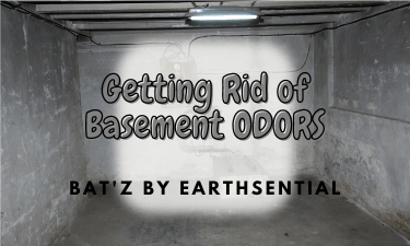 Lavender Essential Oil 2 From Musty to Marvelous Basements