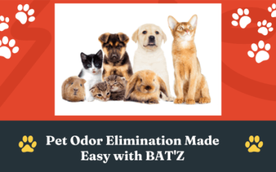 pet odor elimination made easy
