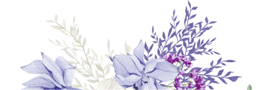 beautiful purple flowers, Impact of Cleaning Chemicals on Cellular Health