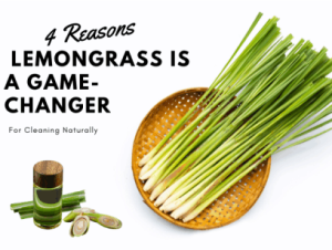 lemongrass's hidden talents against microbials 9 fresh lemongrass and lemongrass oil