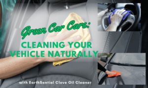 diy garage organization 3 cleaning a car