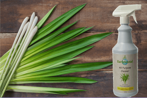 lemongrass cleaner on a table with real lemongrass, Tips for Effective Cleaning with EarthSential