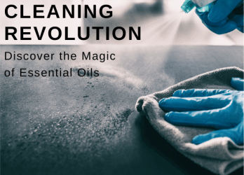 Lavender Essential Oil 4 Essential Oils for Disinfection and Beyond