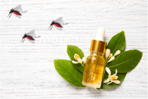 toxic cleaners exposed make the switch today 16 essential oils repel bugs