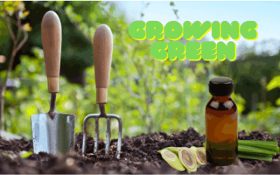 Lemongrass’s Journey in Organic Farming