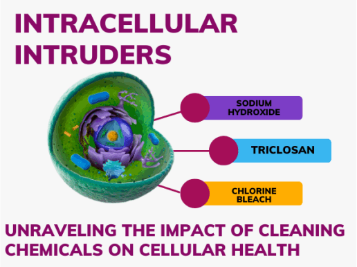 Intracellular intruders: sodium hydroxide, chlorine bleach, triclosan
