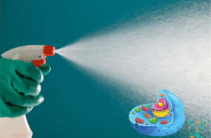 Cleaners and the Hormone Disruption Crisis 8 cleaning spray directed at human cells and destroying them