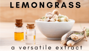 lemongrass's hidden talents against microbials 18 A Versatile and Therapeutic Extract