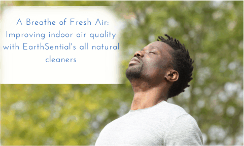 Improve indoor air quality with natural cleaners