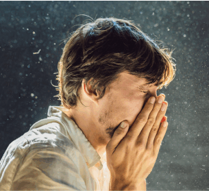 Dust Mite Decimation: All-Natural Cleaning Solutions
