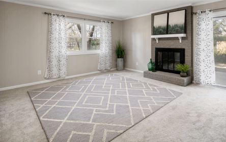 A carpet, The Natural Solution for Upholstery and Carpets