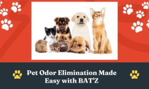 Pet odor elimination