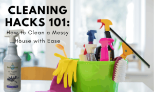 mud-free living 10 hacks to keep dirt at bay 11 a bucket of cleaning tools