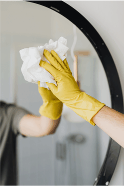 earthSential for squeaky clean windows