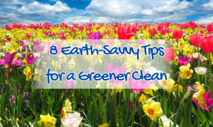 bathroom clean-up banishing germs with ease 10 a spring day with flowers