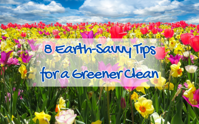 Peppermint Essential Oil 3 8 earth-savvy tips for a greener clean