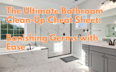 bathroom clean-up banishing germs with ease