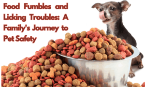 A bowl of dog food over flowing onto the floor