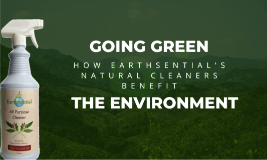 How Going Green Benefits the Environment