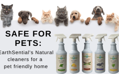 Lavender Essential Oil 4 natural cleaners for a pet friendly home