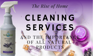the perfect cleaning service for a healthy home 12 fresh ingredients for all natural cleaning products