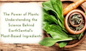 why food safe cleaners matter in restaurants 3 fresh plants and essential oils, plant based ingredients