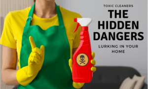 toxic cleaners exposed make the switch today 14 toxic cleaners Lurking in Your Home