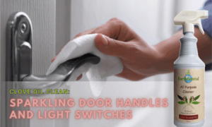 Cleaning a door handle with All Natural Clove Oil Cleaner