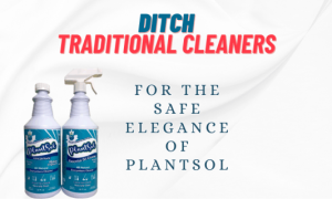 The elegant plantsol by earthsential