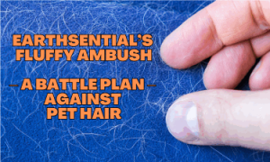 earthSential's solution for furniture care 12 A couch covered in pet hair