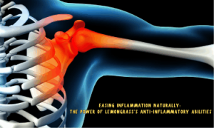 an inflamed muscle in the arm
