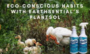 america's clean energy revolution 8 the eco-system