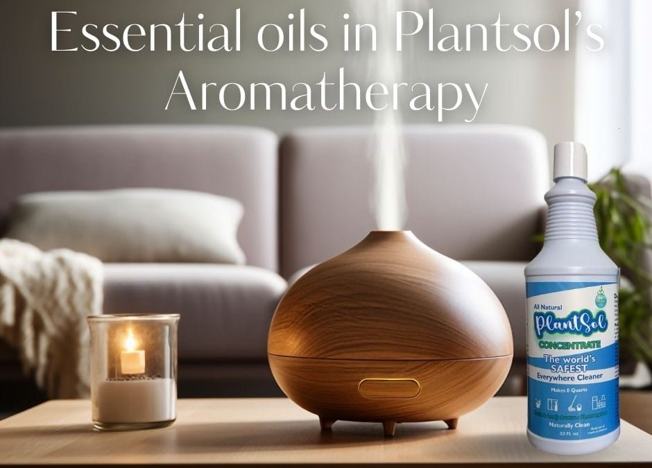 essential oils in plantsol’s aromatherapy