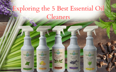 Lavender Essential Oil 2 exploring the 5 best essential oil cleaners