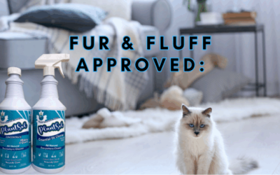 Peppermint Essential Oil 3 how to maintain a pet-friendly clean home