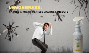 lemongrass's hidden talents against microbials 12 a man tucking from mosquitos