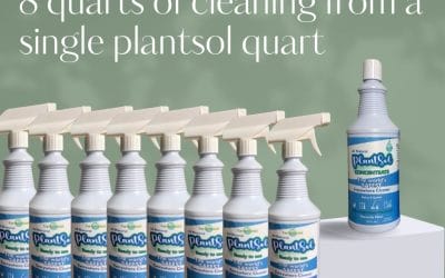 Peppermint Essential Oil 3 8 quarts of cleaning from a single plantsol quart