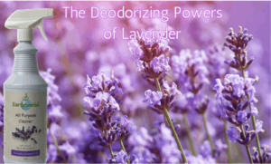 A field of lavender and a bottle of EarthSential All Purpose Lavender essential oil cleaner