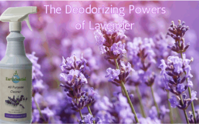 Peppermint Essential Oil 2 the deodorizing powers of lavender