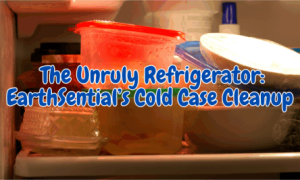 battle against the grease guzzler stove 12 A messy fridge needing to be cleaned