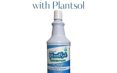 Peppermint Essential Oil 2 the simple art of dilution with plantsol