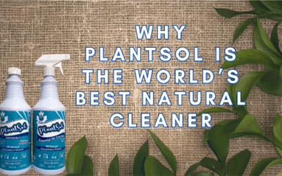 Peppermint Essential Oil 2 why plantsol is the world’s best natural cleaner