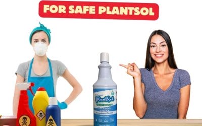 Peppermint Essential Oil 3 ditch traditional cleaners for safe plantsol