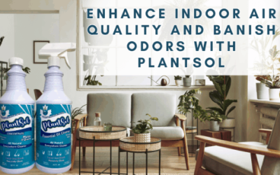 Lavender Essential Oil 2 enhance indoor air quality and banish odors