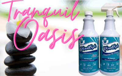 how to create a tranquil oasis with plantsol