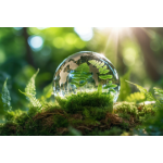 A crystal clear globe of the Earth inside the forest with the sun shining through the trees.Clean Earth: Our Sustainable Journey