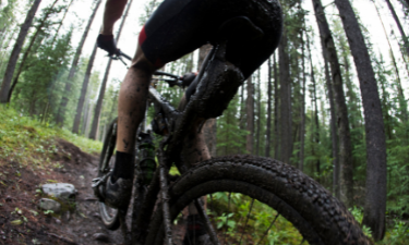  Bicycle Cleaning and Maintenance