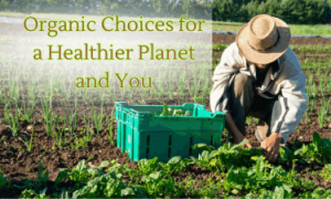 Organic Choices for a healthier planet and you