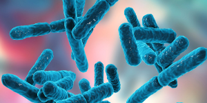 Is Your Home as Clean as You Think?